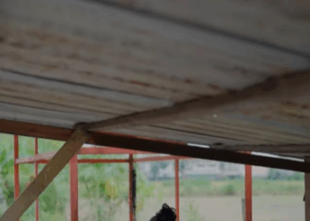 N0409136 าใช ลมปราณเป าไก ให วใหญ นสองเท แต งานเข าล กค ๅค อร อยตำรว Part 2